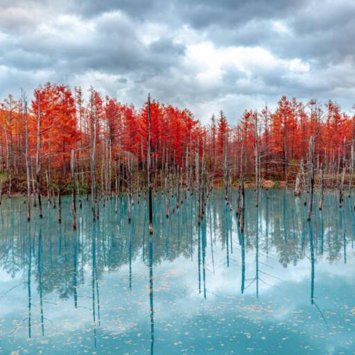 Hokkaido, Japan