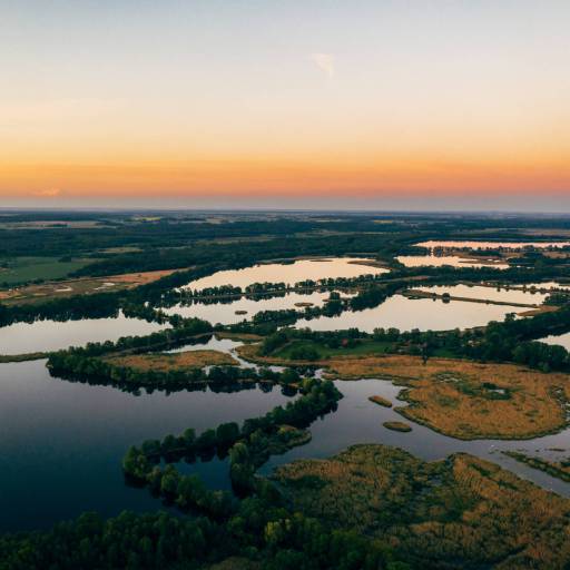 Landschap van Polen