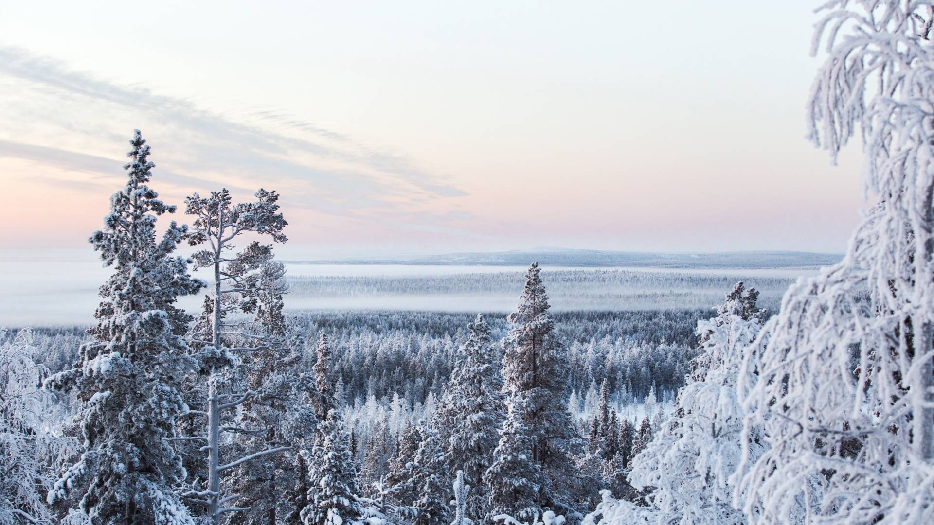 Lapland